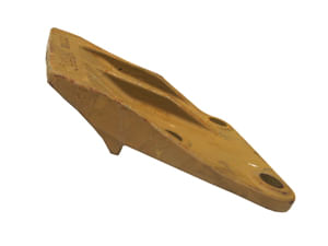 Orejeta-izquierda-0964747