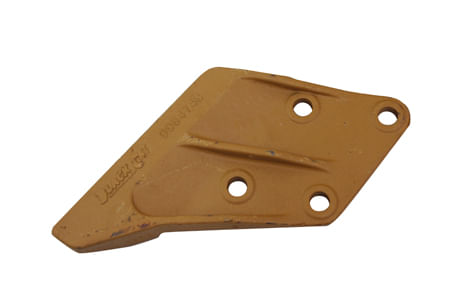 Orejeta-derecha-0964748
