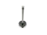 Valve-Inlet-1007860