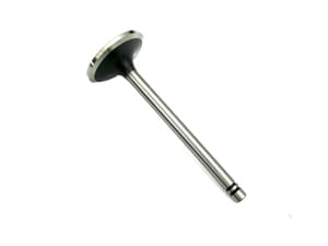 Valve-Inlet-1007860