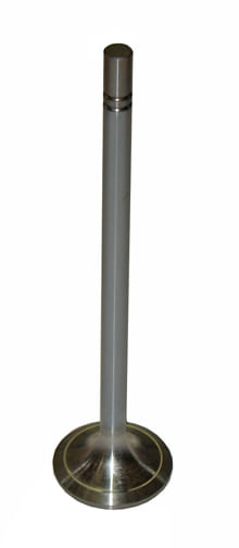 Válvula de Admisión 1220322