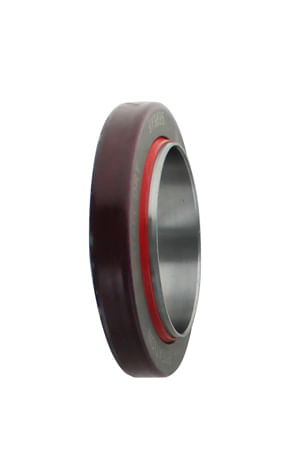 Reten-de-Cigueñal-9Y9895