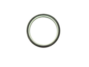 Seal-Dust-0931436