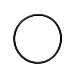 Seal-O-Ring 1407515
