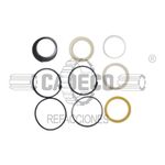 Juego de Sellos y Empaques 1543294C1