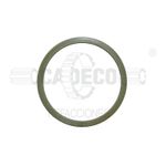 Oring-de-Inyector-2930730