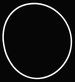 Sello - Anillo Uso General 2P4511