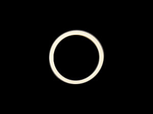 Sello-U-Cup - Uso General 3465201