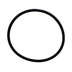 Sello---O-Ring-Uso-General-5H8848