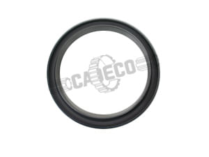 Reten-de-Cigueñal-7W3200