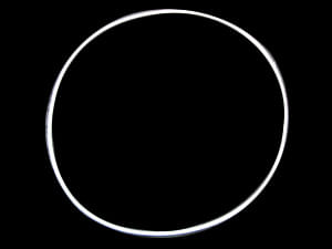 Sello - O-Ring Uso General 8P2019