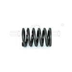 Resorte-para-cabeza-de-motor-1032454