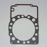 Gasket-Head 1106991