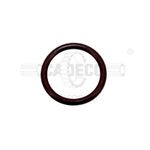 Seal-O-Ring-1367227