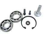 Rebuild-Kit-1700564
