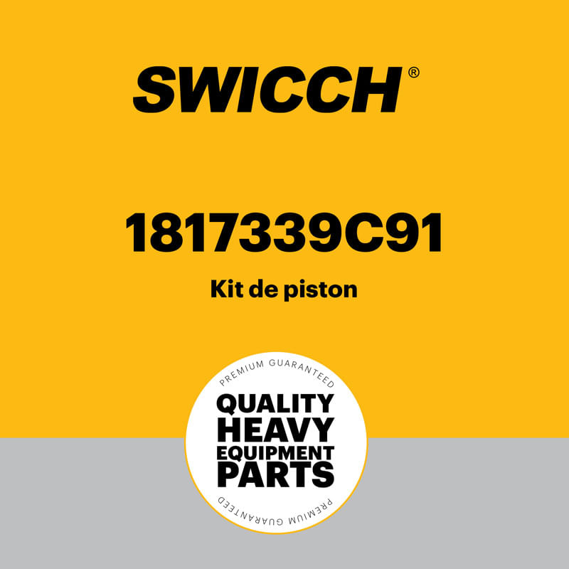 Kit de pistón 1817339C91