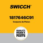 Conjunto de Pistón 1817646C91