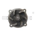 Bomba-de-agua-para-motor-199352A1