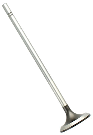 Valvula-1W1819