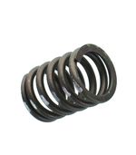Resorte-para-cabeza-de-motor-1W4259