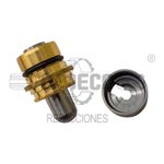 Plunger-Kit-2031100