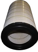 Filtro-de-aire-externo-2465009