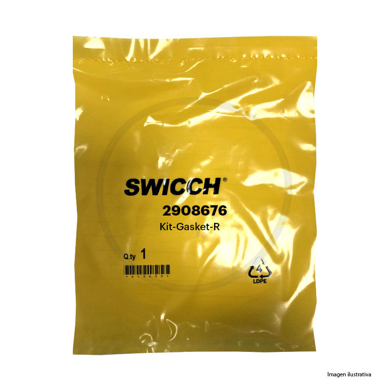 Kit-Gasket-R 2908676