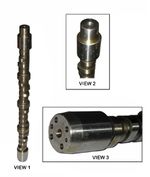 Arbol-de-Levas-2W7980