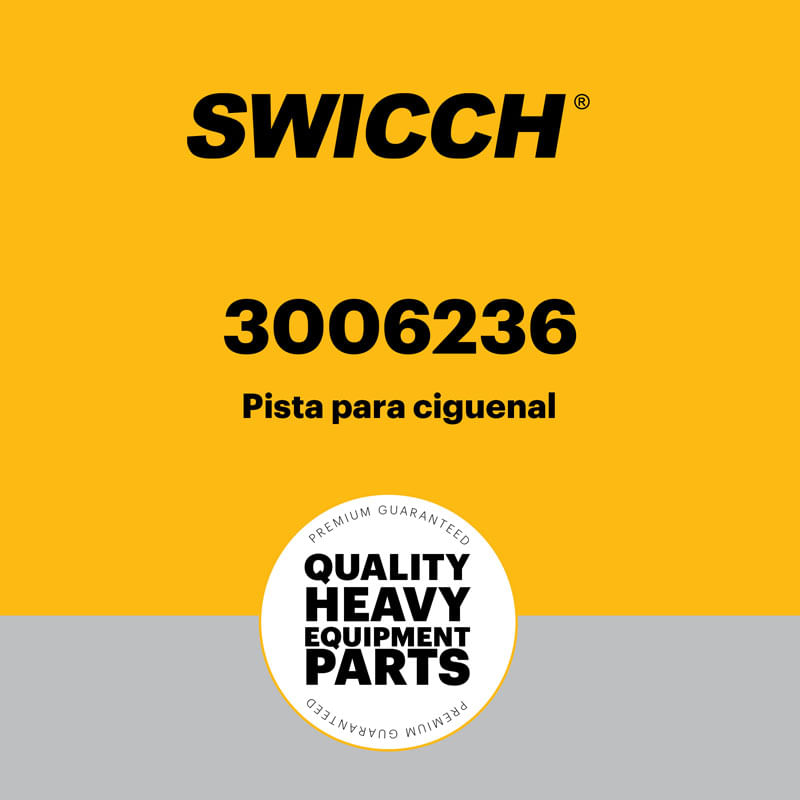 Pista para cigüeñal 3006236