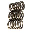 Resorte para cabeza de motor 3630628