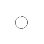 Anillo-4M8013