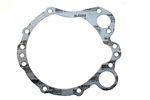 Gasket - Pump 4S5808
