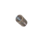 Resorte para cabeza de motor 4W2471