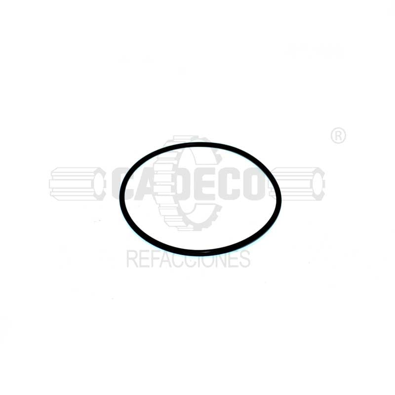 O Ring 5E8770