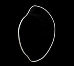 Sello - O Ring de Uso General 7G2832