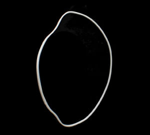 Sello - O Ring de Uso General 7G2832