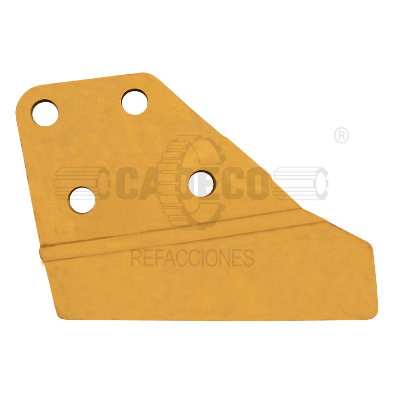 Orejeta-derecha-7Y0204