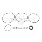 Seal Kit 7Y4295