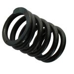 Resorte-para-cabeza-de-motor-9N3617