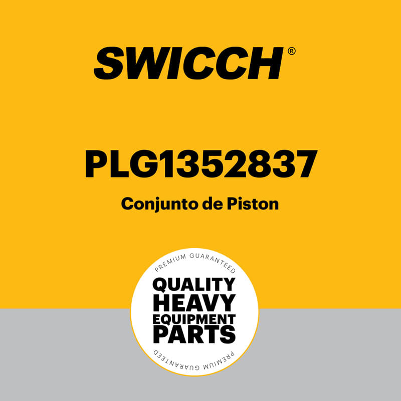 Conjunto de Pistón PLG1352837