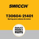 Spring-para-cabeza-de-motor-T30604-21401