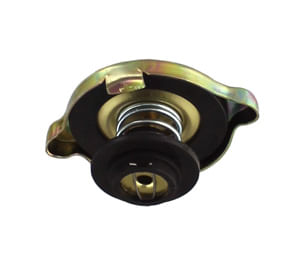 Cap-Radiator-0068865