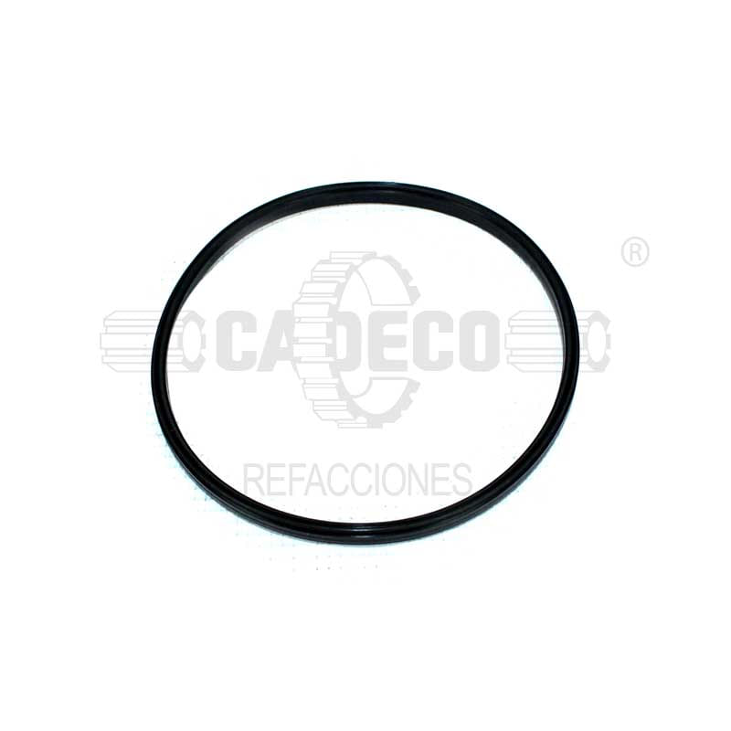 Seal-Pip-3215639