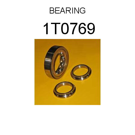 Bearing-Ball-1T0769