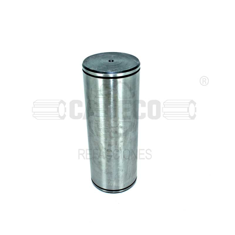 Pin-Large-190313A1