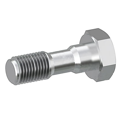 Bolt-Flanged-2388292