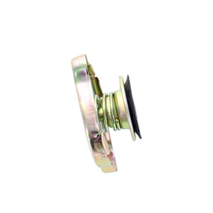 Cap (1241613) 1843949