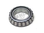 Cone-9W0614