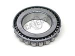 Cone-9W0614