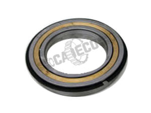 Bearing-Ball-1T0610